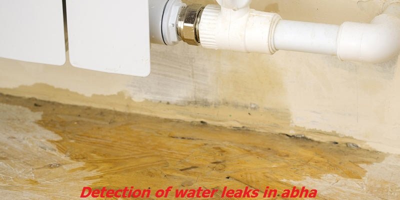 كشف تسربات المياه بابها
